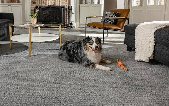 best flooring for pet owners